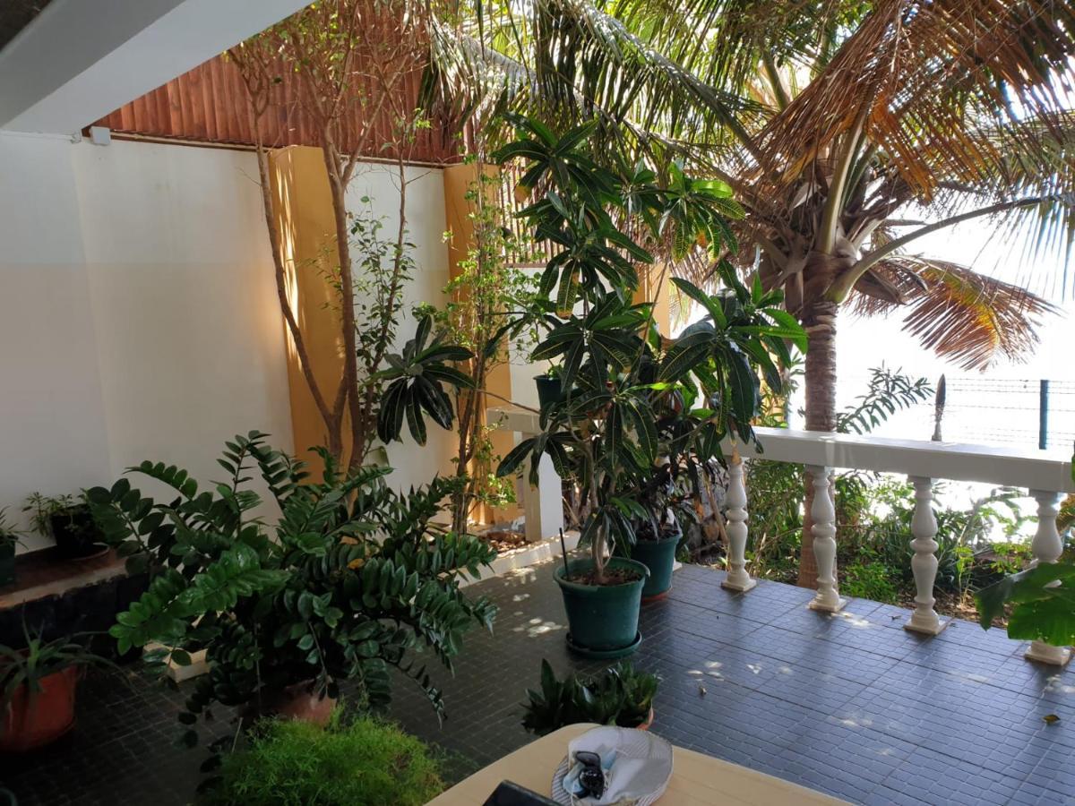 Cactus Guest House Cidade Velha Exterior photo